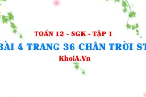 Bài 5 trang 36 Toán 12 Tập 1 Chân trời sáng tạo